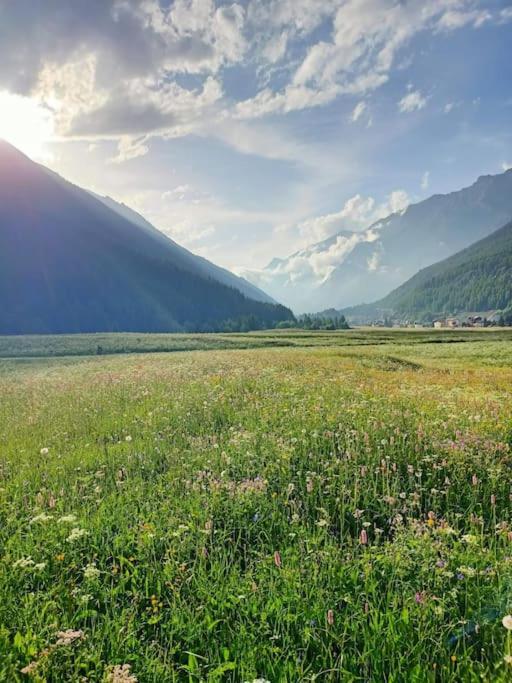 Villa Costa Da Lori Cogne Zewnętrze zdjęcie