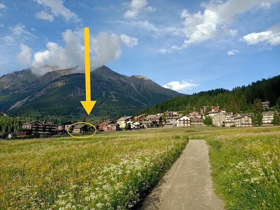 Villa Costa Da Lori Cogne Zewnętrze zdjęcie
